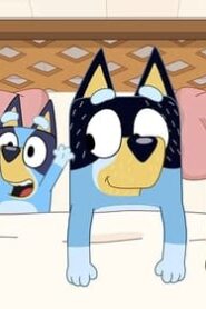 Bluey: 2×48