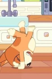 Bluey: 2×45