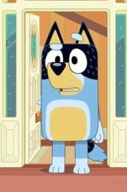 Bluey: 1×6