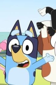 Bluey: 2×33