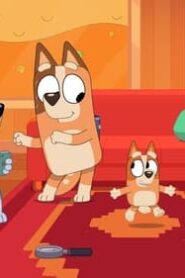 Bluey: 3×27