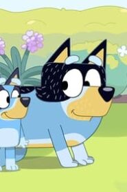 Bluey: 3×12