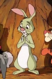 The New Adventures of Winnie the Pooh: 1×31