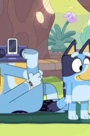 Bluey: 3×39