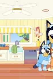 Bluey: 3×35