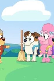 Bluey: 3×15