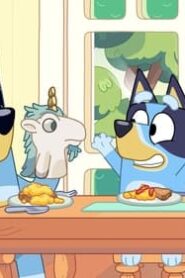 Bluey: 3×29