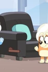 Bluey: 3×40