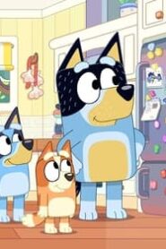 Bluey: 3×1