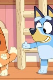 Bluey: 3×10