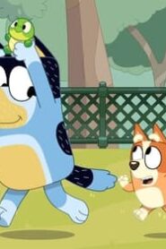 Bluey: 3×30