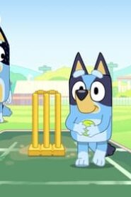 Bluey: 3×47