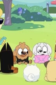 Bluey: 3×14