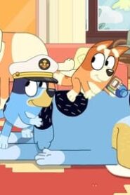 Bluey: 3×22