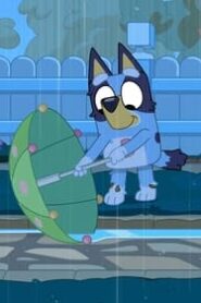 Bluey: 3×18