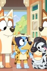 Bluey: 3×31