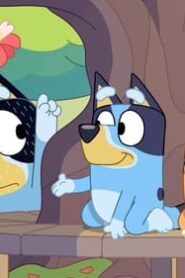 Bluey: 3×6