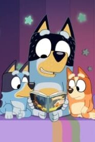 Bluey: 3×26