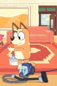 Bluey: 3×13