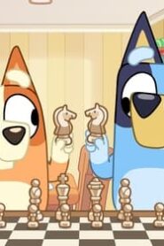 Bluey: 3×11