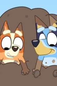 Bluey: 3×36
