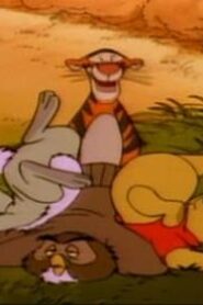 The New Adventures of Winnie the Pooh: 1×20