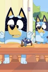 Bluey: 3×23