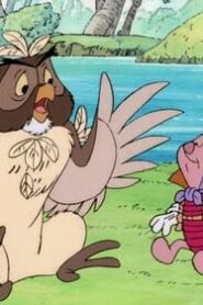 The New Adventures of Winnie the Pooh: 1×27