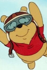 The New Adventures of Winnie the Pooh: 2×12