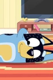 Bluey: 3×25