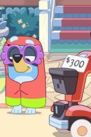 Bluey: 3×33