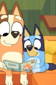 Bluey: 3×8