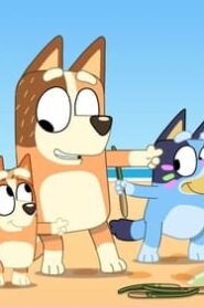 Bluey: 3×41