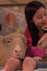 Drake & Josh: 3×11