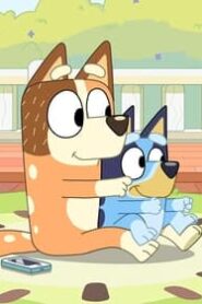 Bluey: 3×20