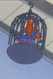 Spider-Man: 1×23