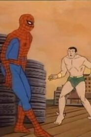 Spider-Man: 1×24