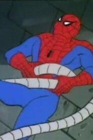 Spider-Man: 1×1