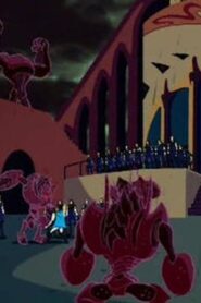 Winx Club: 1×20