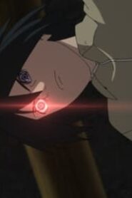 Boruto: Naruto Next Generations: 1×284