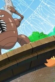 Pokémon: 25×4