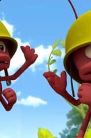 Maya the Bee: 2×24