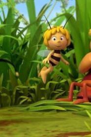 Maya the Bee: 2×20