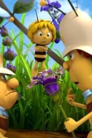 Maya the Bee: 2×13