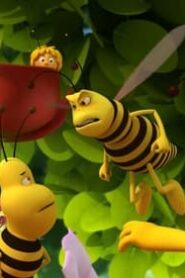Maya the Bee: 2×7