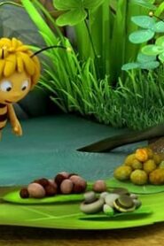 Maya the Bee: 2×25