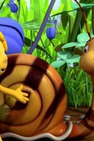 Maya the Bee: 3×5