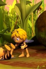 Maya the Bee: 3×2