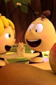 Maya the Bee: 3×3
