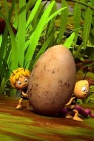 Maya the Bee: 3×4